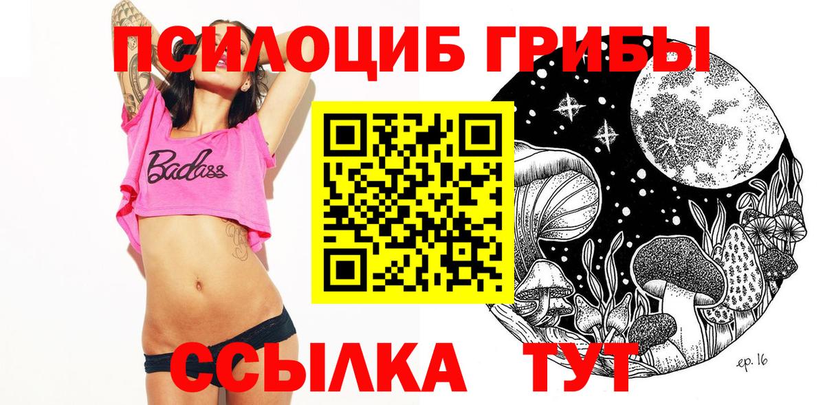 Псилоцибиновые грибы MAGIC MUSHROOMS  Вход с VPN  Псилоцибиновые грибы мицелий  Бердск 